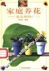 家庭养花  观花植物  1 封面