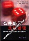 公共部门风险管理 封面