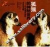 狐猴的神秘世界  马达加斯加的灵长类动物  摄影集 封面