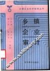 乡镇企业审计 封面