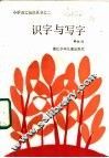 识字与写字 封面