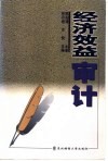 经济效益审计 封面