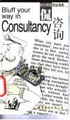 Bluff your way in Consultancy 封面