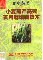 小麦高产高效实用栽培新技术 封面