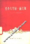 社办大学的一面红旗 封面