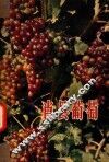 肖县葡萄 封面
