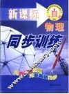 人教社课程标准实验教科书  物理同步训练  九年级 封面