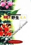 三北野生花卉 封面