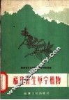 福建野生单宁植物 封面