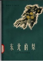 东北的梨 封面