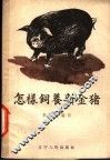 怎样饲养新金猪 封面
