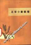 北京小麦栽培 封面