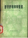 野籽野草样样是宝 封面