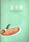 金小蜂 封面