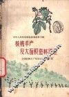 核桃丰产及大面积造林经验  全国核桃生产现场会议文件汇编 封面