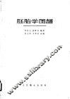 胚胎学图谱 封面
