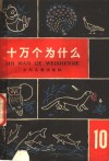 十万个为什么  10 封面