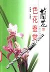 兰花色花鉴赏  图集 封面