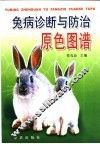 兔病诊断与防治原色图谱 封面