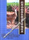 药用动物原色图谱及养殖技术 封面