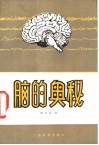 脑的奥秘 封面