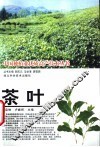 茶叶 封面