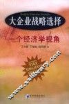 大企业战略选择：一个经济学视角 封面