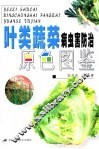 叶类蔬菜病虫害防治原色图鉴 封面