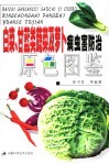 白菜  甘蓝类蔬菜及萝卜病虫害防治原色图鉴 封面