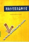 河南小麦优良品种介绍 封面