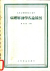 病理解剖学各论插图 封面