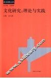 文化研究：理论与实践 封面