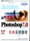 中文版Photoshop 7.0经典实例教程 封面
