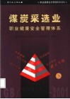 煤炭采选业职业健康安全管理体系 封面