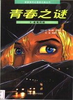 青春之谜  2  遮掩的脸 封面