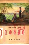 在森林湖畔 封面