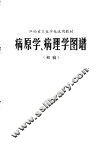 病原学、病理学图谱  初稿 封面