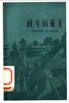 战斗的藁无 封面