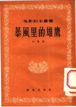 暴风里的雄鹰 封面