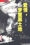 爱情，梦里黑土地 封面