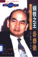 钢铁之王-朴泰俊 封面