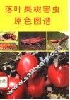 落叶果树害虫原色图谱 封面