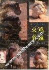 火鸡养殖 封面