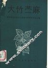 大竹苎麻 封面