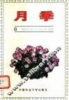 月季 封面