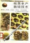 板栗丰产栽培技术 封面