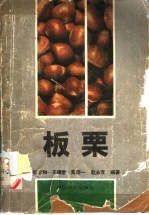 板栗 封面