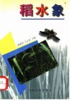 稻水象 封面