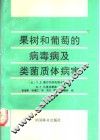 果树和葡萄的病毒病及类菌质体病害 封面