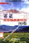 西藏农作物病害防治图鉴 封面